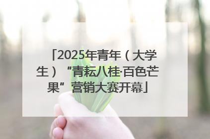 2025年青年（大学生）“青耘八桂·百色芒果”营销大赛开幕