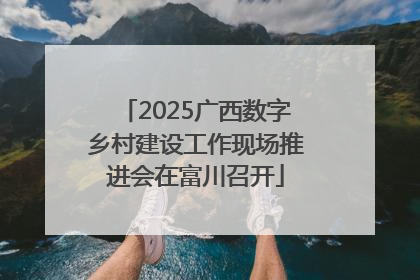 2025广西数字乡村建设工作现场推进会在富川召开