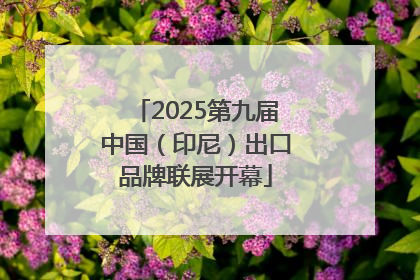2025第九届中国（印尼）出口品牌联展开幕