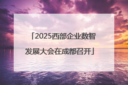 2025西部企业数智发展大会在成都召开