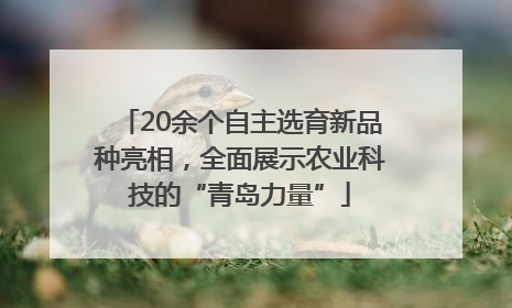 20余个自主选育新品种亮相，全面展示农业科技的“青岛力量”