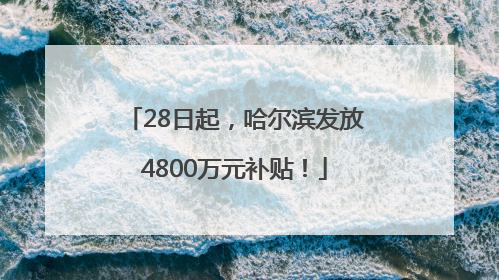 28日起，哈尔滨发放4800万元补贴！