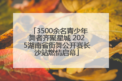 3500余名青少年舞者齐聚星城 2025湖南省街舞公开赛长沙站燃情启幕