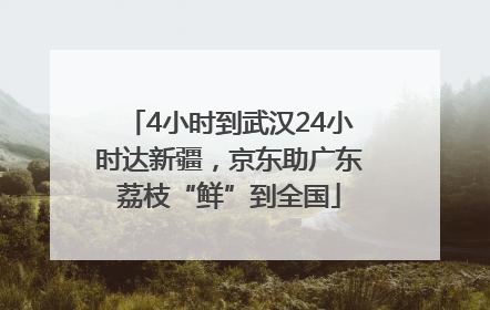 4小时到武汉24小时达新疆，京东助广东荔枝“鲜”到全国