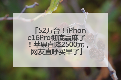 52万台！iPhone16Pro彻底赢麻了！苹果直降2500元，网友直呼买早了