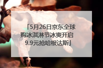 5月26日京东全球购冰淇淋节冰爽开启 9.9元抢哈根达斯