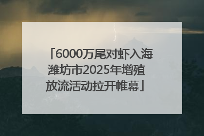 6000万尾对虾入海 潍坊市2025年增殖放流活动拉开帷幕