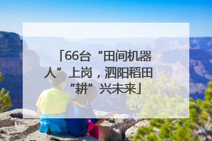 66台“田间机器人”上岗，泗阳稻田“耕”兴未来