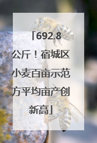 692.8公斤！宿城区小麦百亩示范方平均亩产创新高
