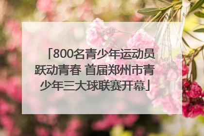 800名青少年运动员跃动青春 首届郑州市青少年三大球联赛开幕