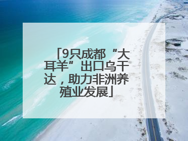 9只成都“大耳羊”出口乌干达，助力非洲养殖业发展