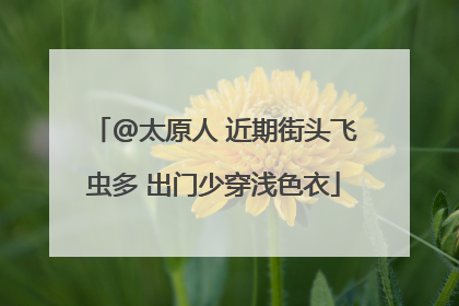 @太原人 近期街头飞虫多 出门少穿浅色衣