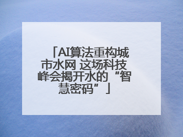 AI算法重构城市水网 这场科技峰会揭开水的“智慧密码”