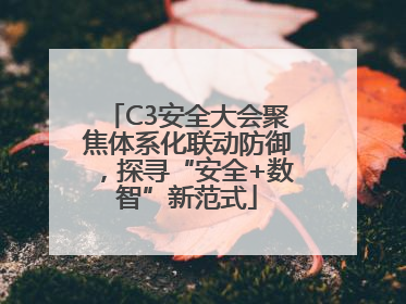 C3安全大会聚焦体系化联动防御，探寻“安全+数智”新范式