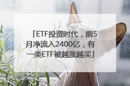 ETF投资时代，前5月净流入2400亿，有一类ETF被越涨越买