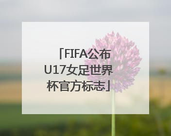 FIFA公布U17女足世界杯官方标志