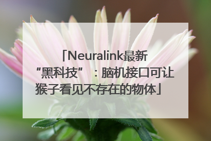 Neuralink最新“黑科技”：脑机接口可让猴子看见不存在的物体