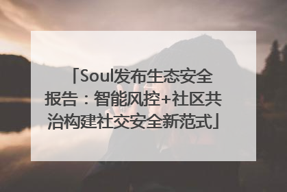 Soul发布生态安全报告：智能风控+社区共治构建社交安全新范式